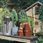 Morning Glories at Small World Farm