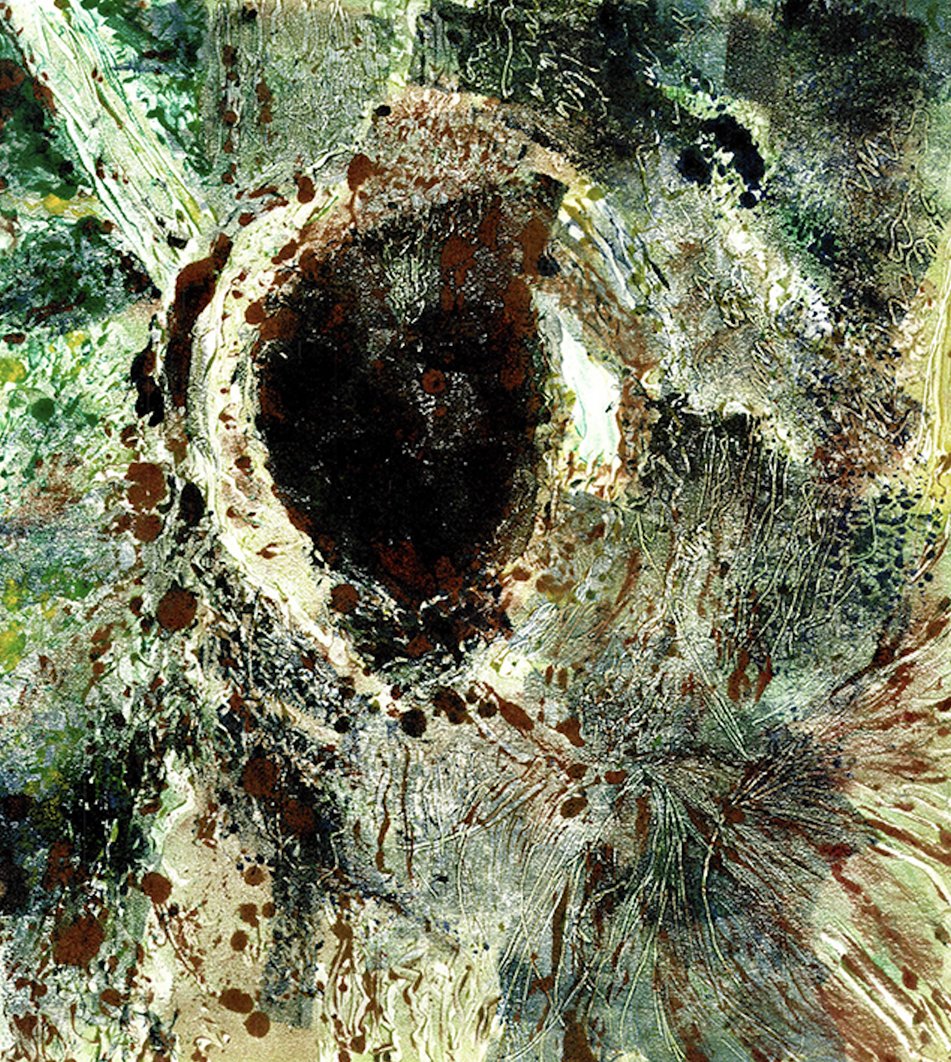 Lisa Absher (FL) <br><em>Symbiosis & Coevolution: Bark, Moss, & Lichen</em>
