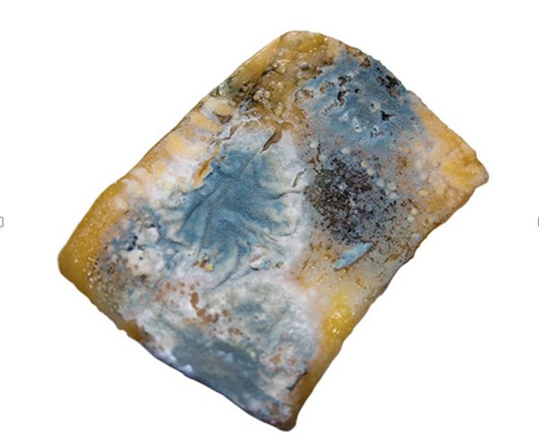 Aging Gracefully, Photograph 