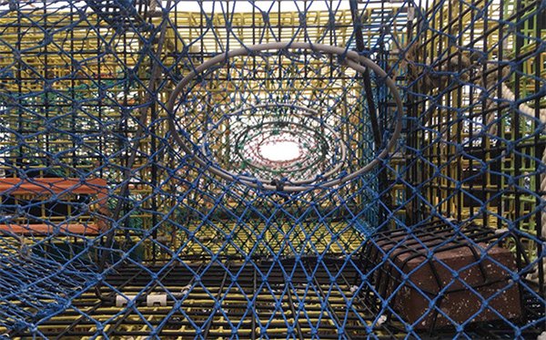 Leah Broyde Abrahams