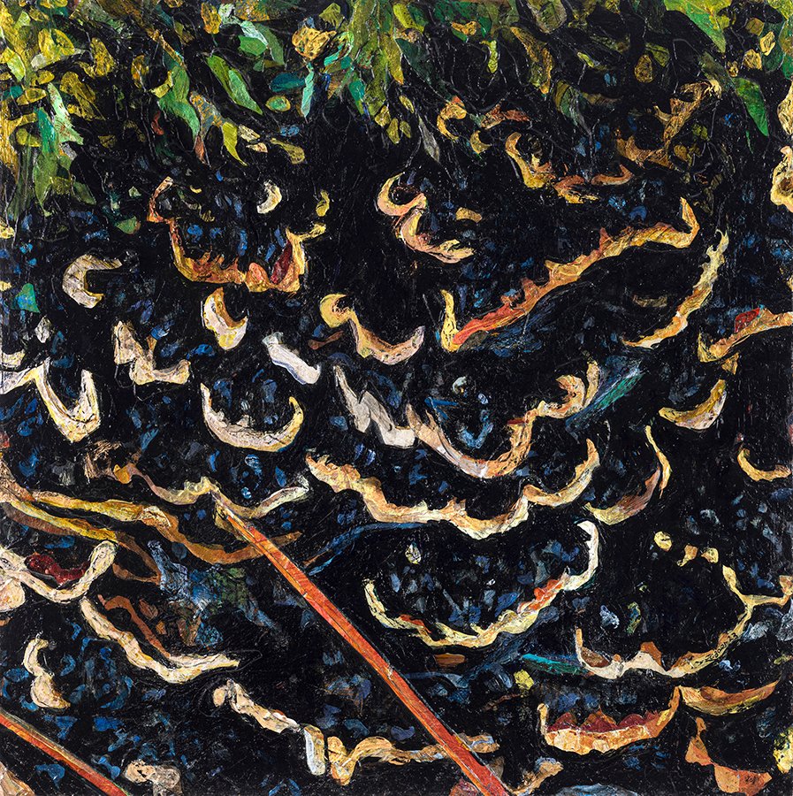 Corticioid Fungi (Stereum hirsutum) sm