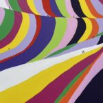 Michelle Feinberg_Flower Fields