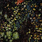 Silvergreen Bryum Moss (Bryum argenteum) sm