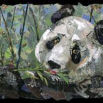 j. ED,Panda,18x24,OA,GA