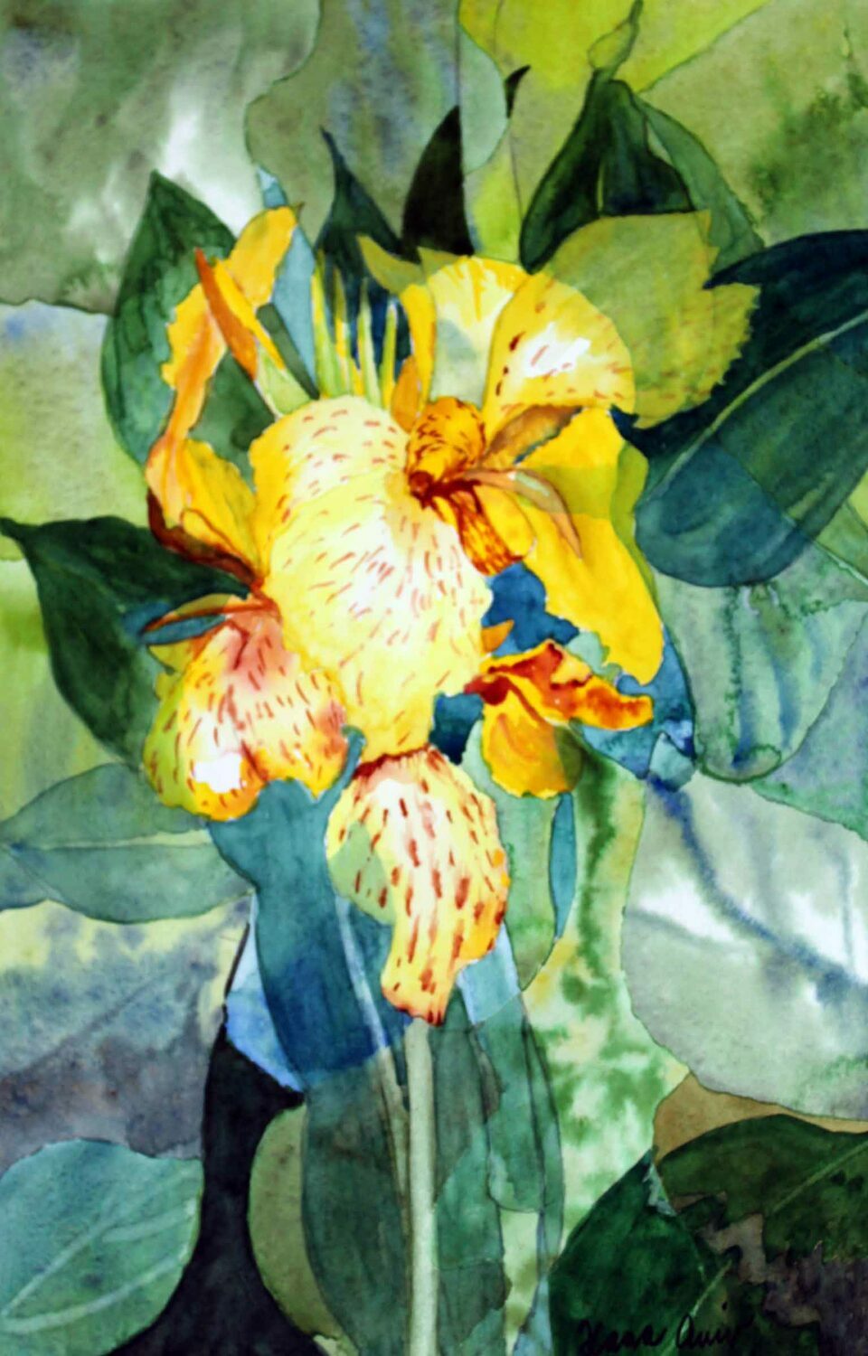 Hana Aviv (NJ)<br><em>Iris Deconstructed</em><br>3rd Place