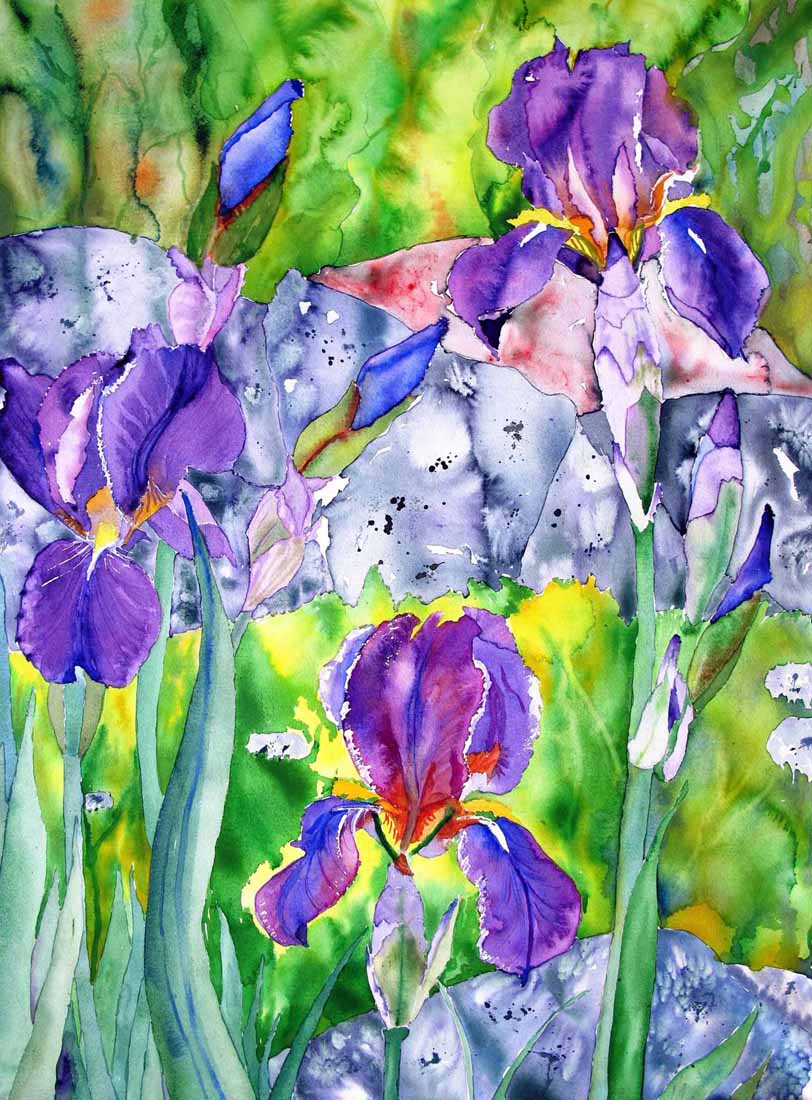 Hana Aviv (NJ)<br><em>Purple Iris</em>