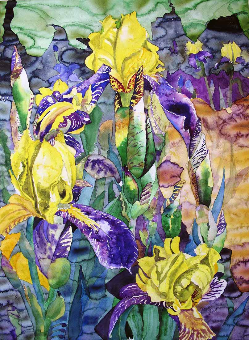 Hana Aviv (NJ)<br><em>Yellow Iris</em>