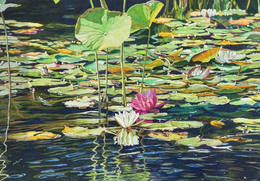 Cindy Valek Mottl (CT)<br><em>Dance of the Lily Pads</em>