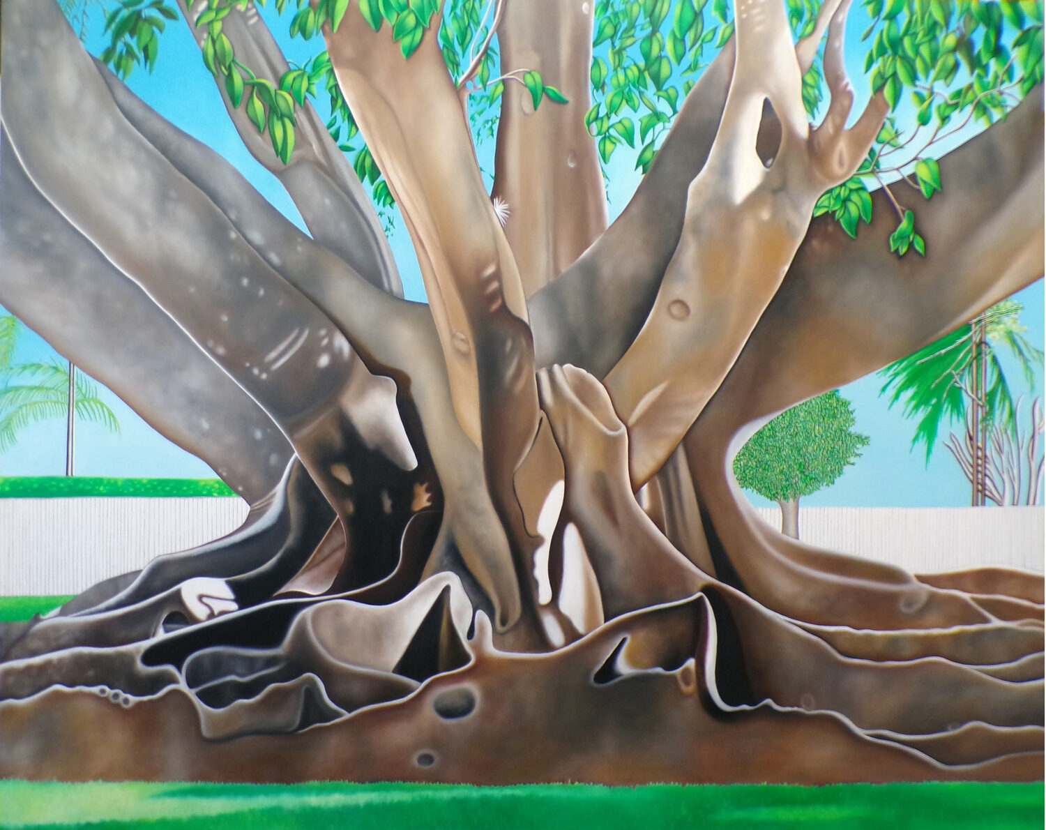Pennie Brantley (NY)<br><em>Aspects of a Life (Banyan Tree)</em>