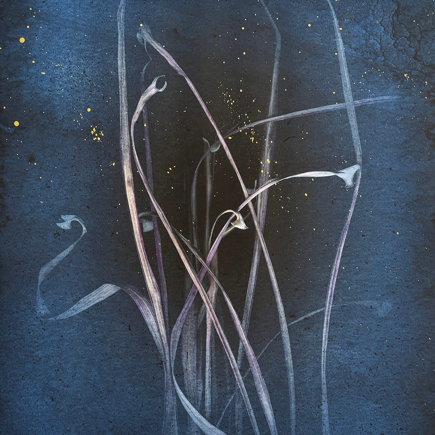 Sandi Daniel (NY)<br><em>Chaos</em>