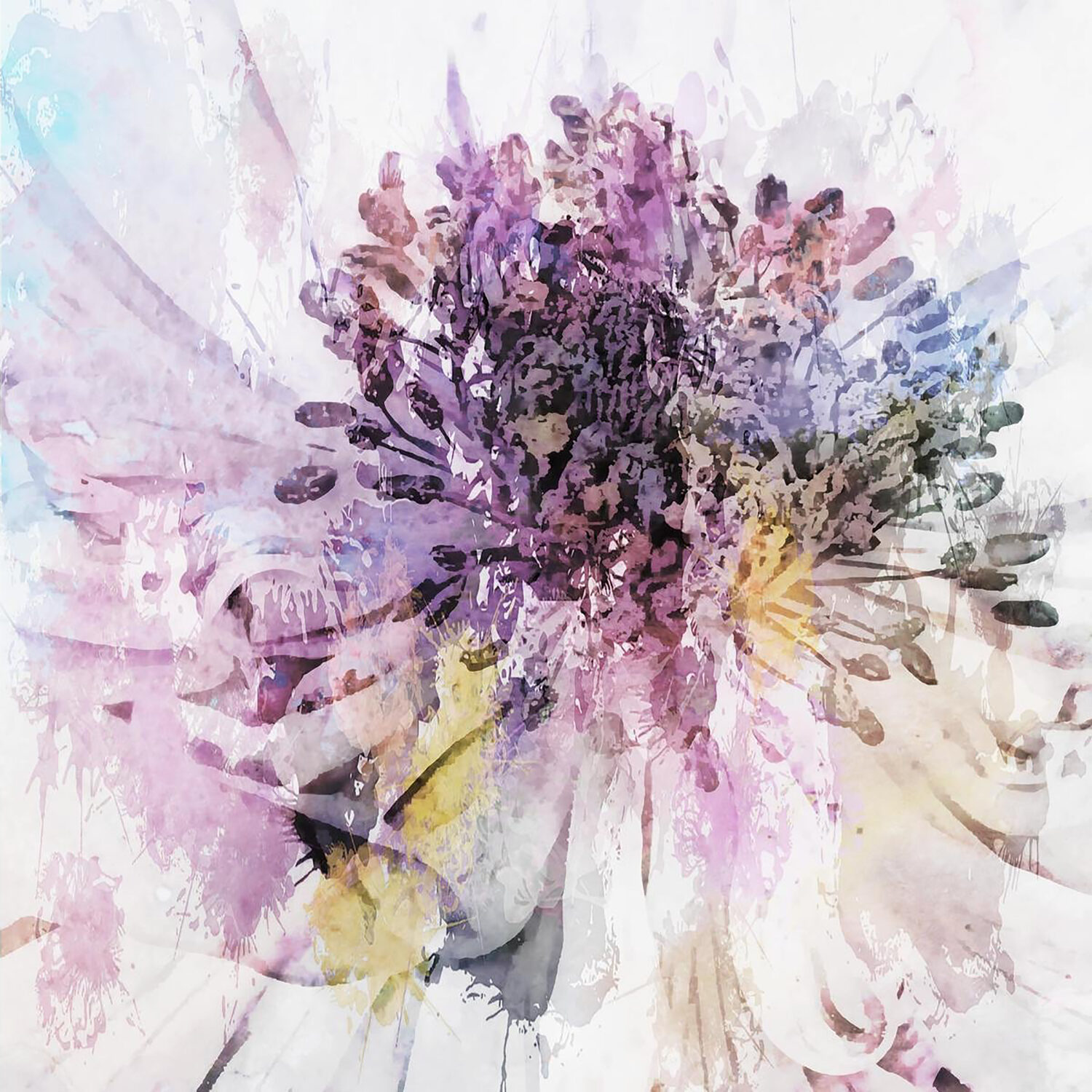 Sandy Dimke (SC)<br><em>Purple Persuasion</em>