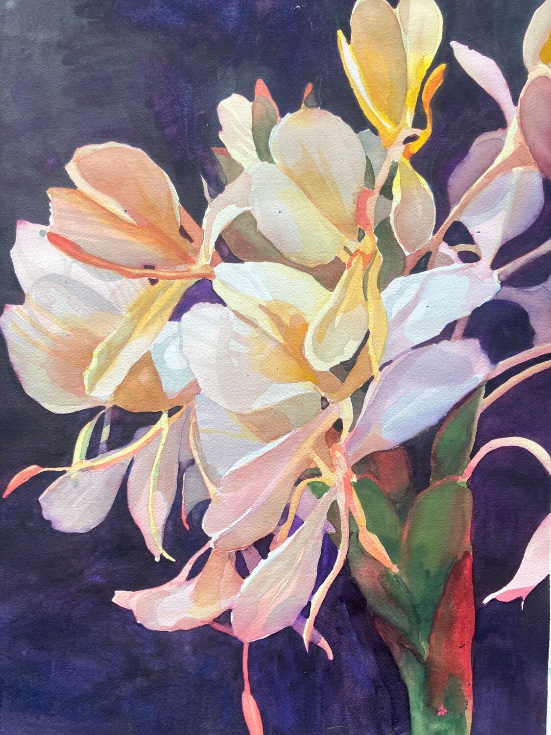 Sheila M  Kriemelman (NY)<br><em>Hawaiian White Ginger</em>