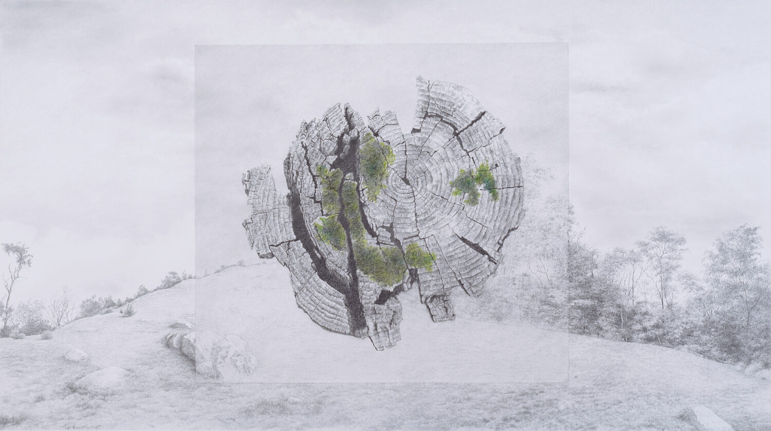 AnaMarie Liddell (VA)<br><em>The Undoing of Being</em>