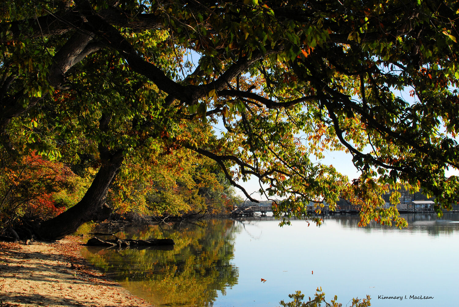 Kimmary MacLean (MD)<br><em> Rhode River in the Fall </em>