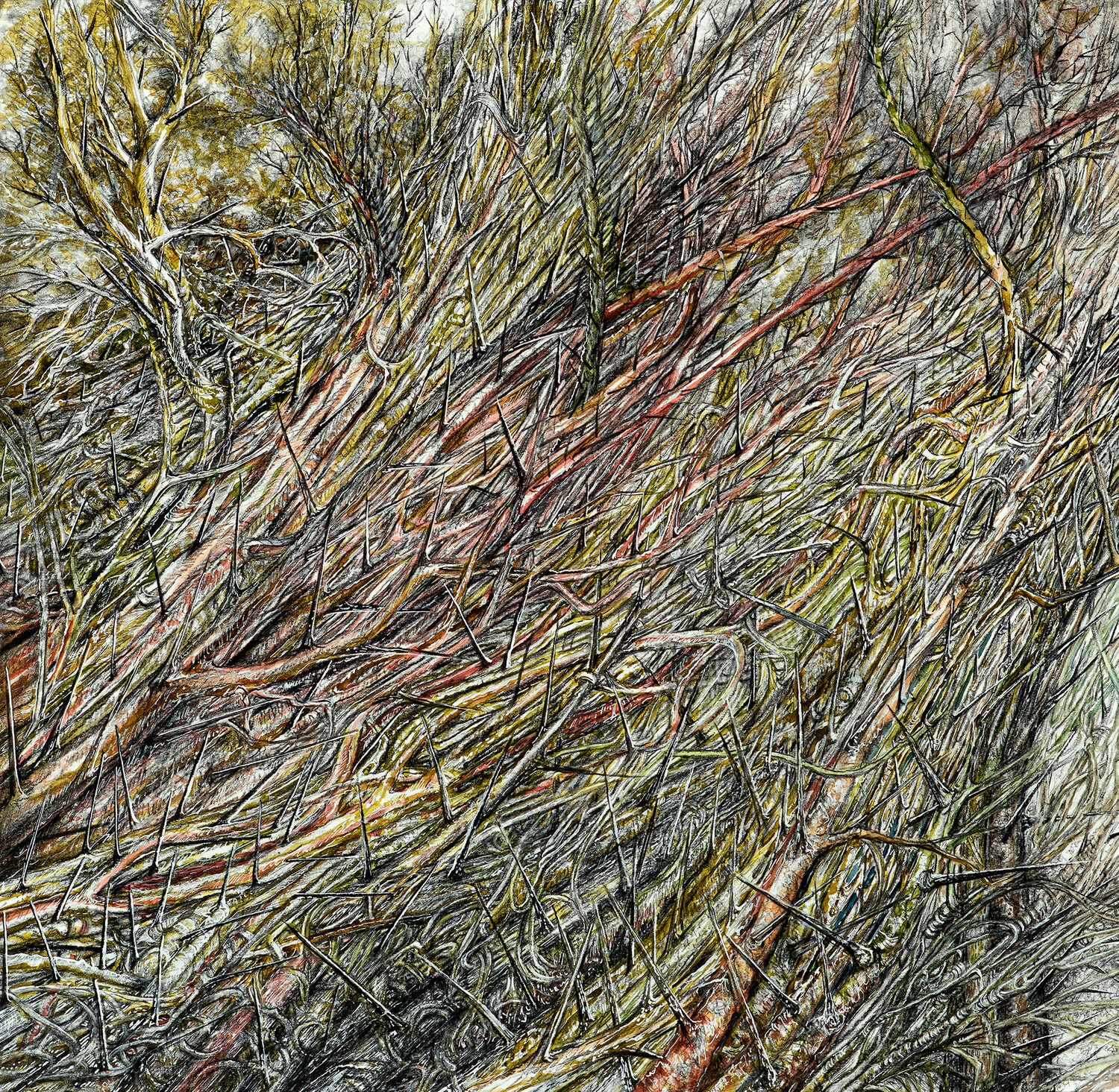 Linda Williams McCune (SC)<br><em>Study for Stress Series 19</em>