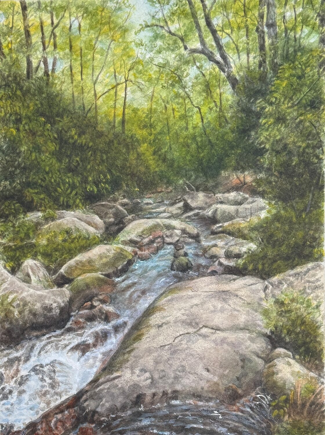 Arlene B Robbins (NY)<br><em>Mountain Stream</em>
