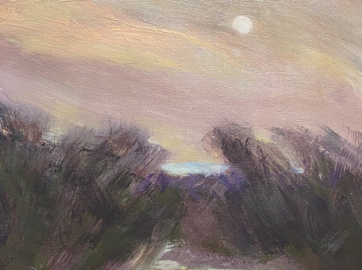Jo-Ann Sanborn (FL)<br><em>Sahara Dust</em>