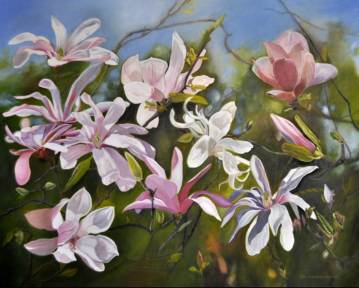 Lola Sandino Stanton (NY)<br><em>Magnolias</em>