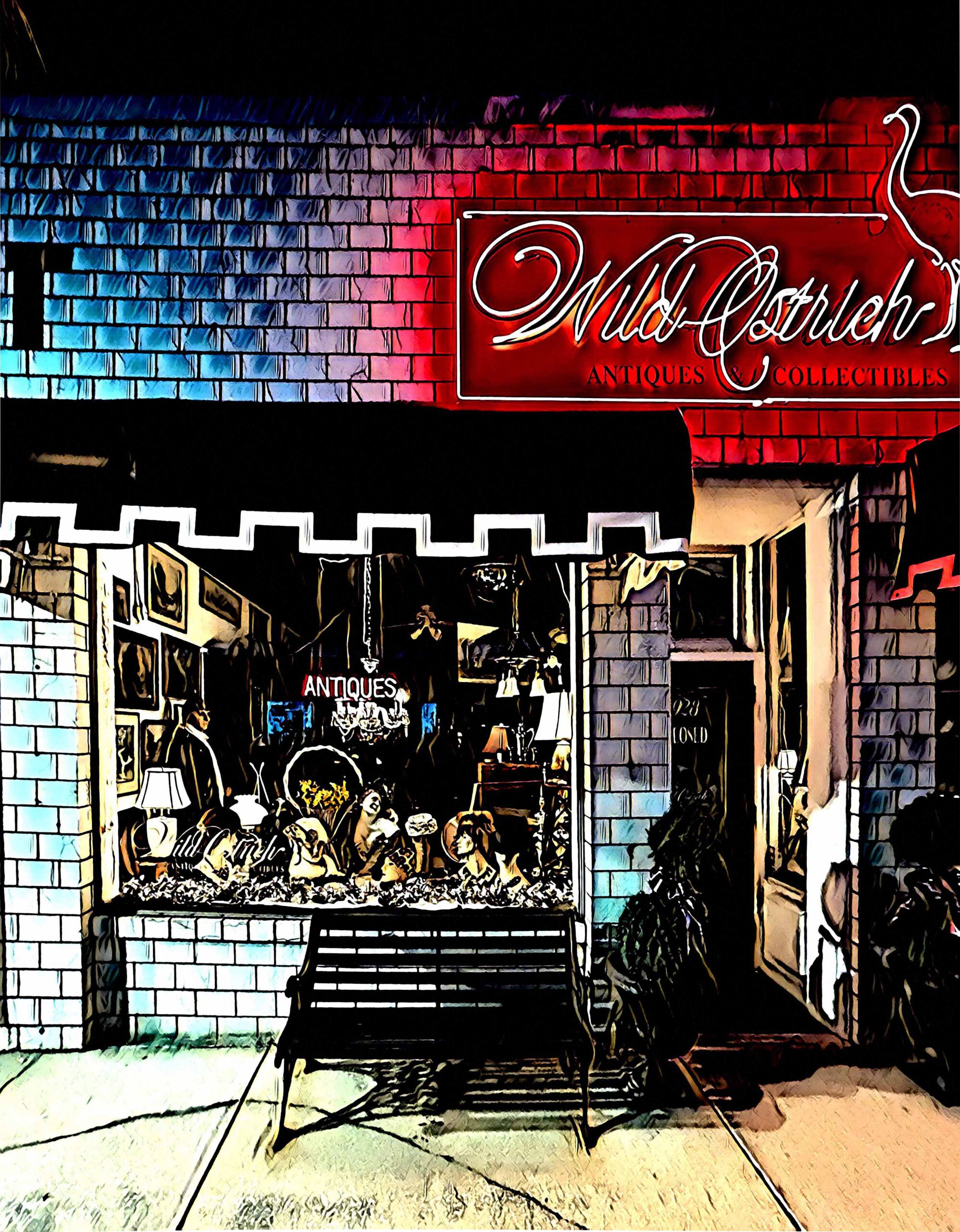 Diane Staver (IN)<br><em>The Wild Ostrich @ Night</em>