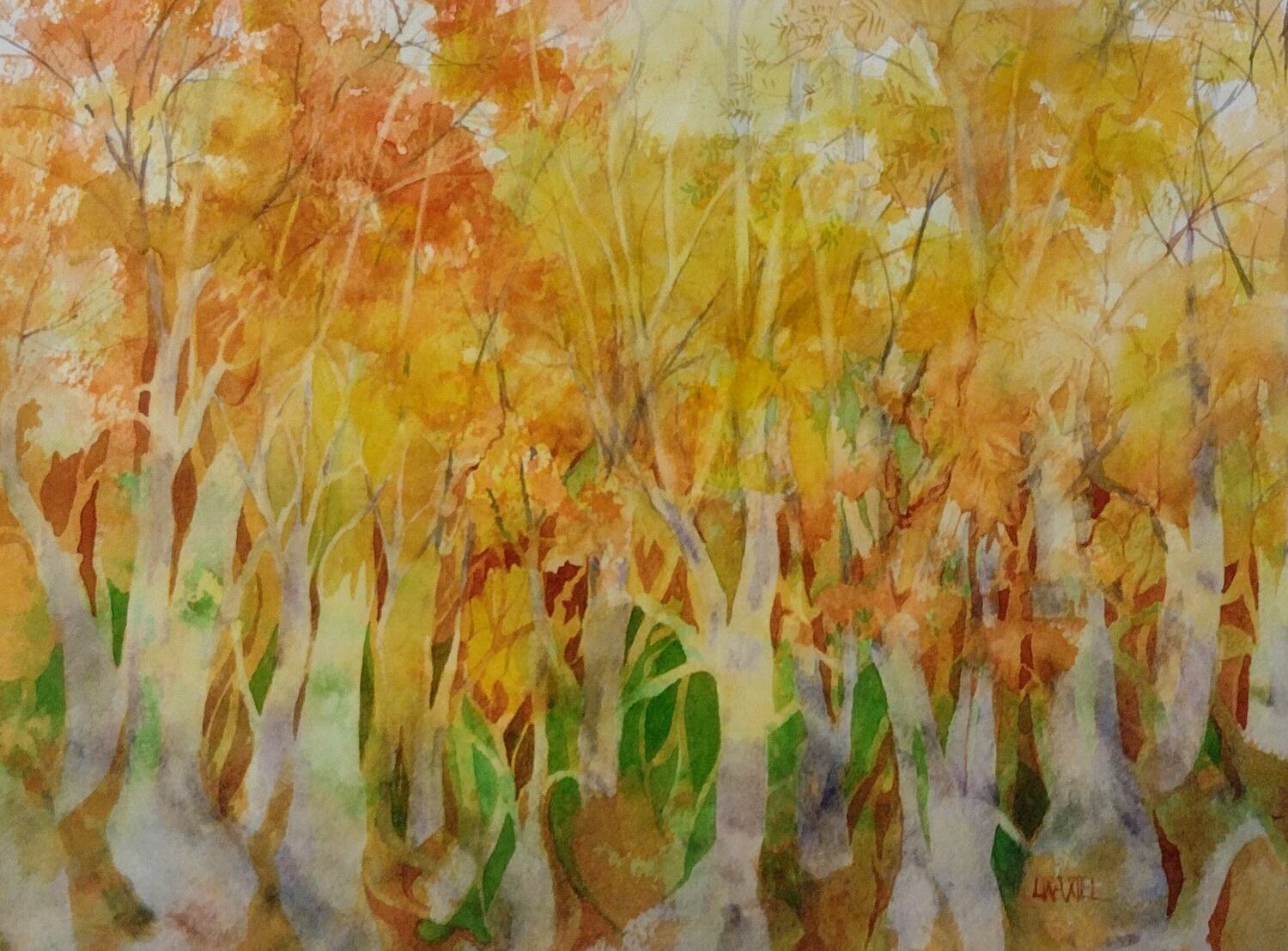 Leslie Waxtel (NY)<br><em>Tangled</em>