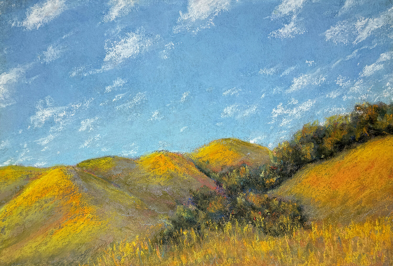 Christina Williams (CA)<br><em>Golden Hour Hilltops</em>