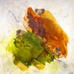 SamarHussaini_Blossoms of Our Land_Acrylic_70x70