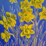 Daffodils Out of the Cold Blue