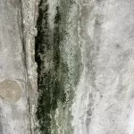 Absher_Lisa_LifeinConcrete7410-1