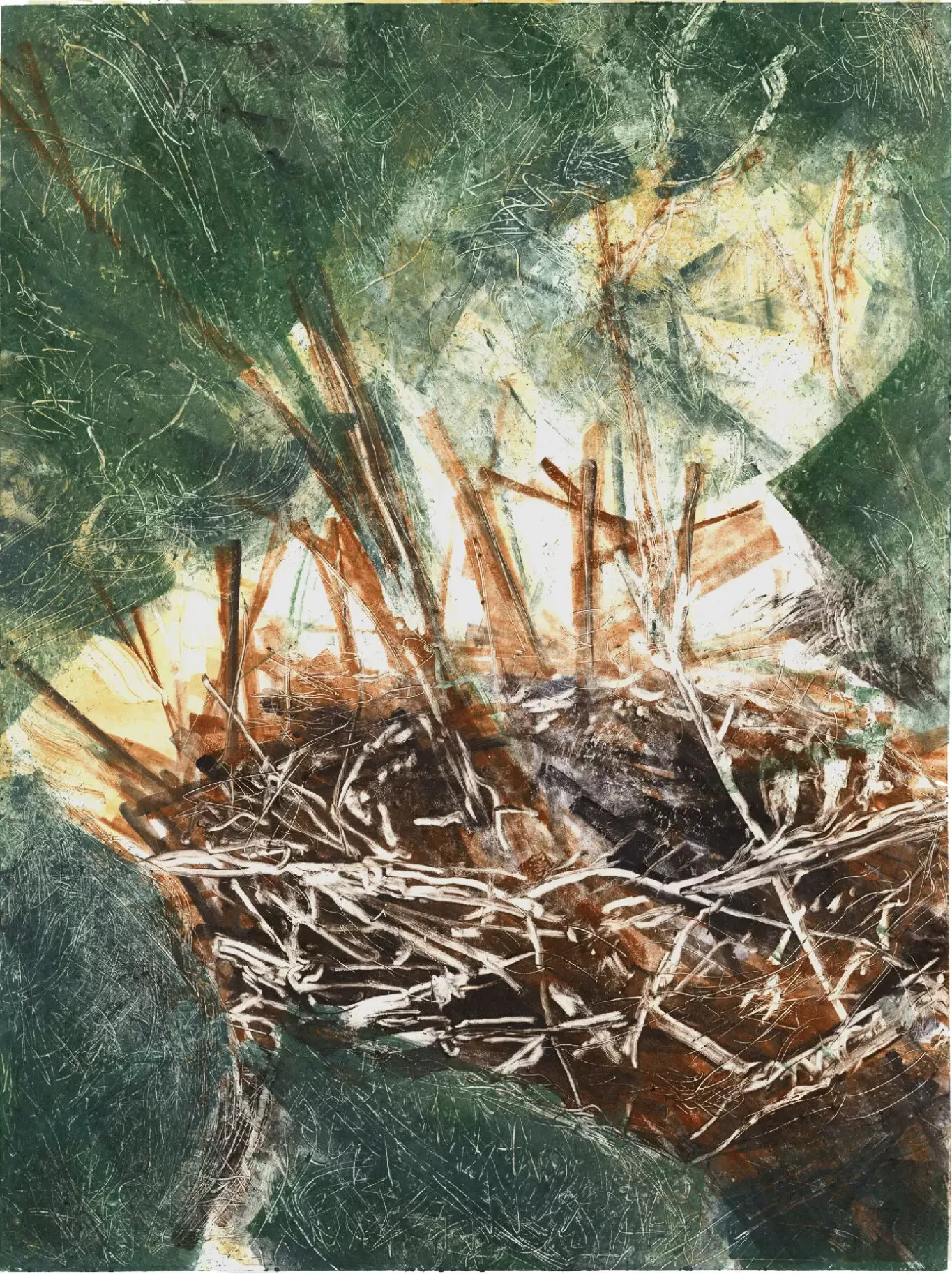 Lisa-Absher-Gallery-Nest-Web-Sized-Images-021124-scaled