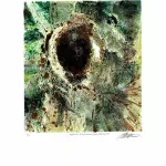 Lisa-Absher_SymbiosisCoevolution_23_ART-007_Websize