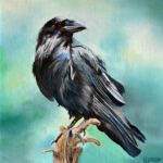 u2246-Inquisitive_BobbeJones5MB