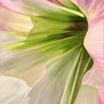 u2182-Gwen_Cory@2024_Open