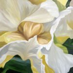 u2182-Gwen_Cory©2024_Center