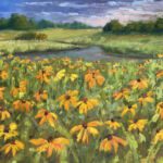 u2247-field-of-flowers