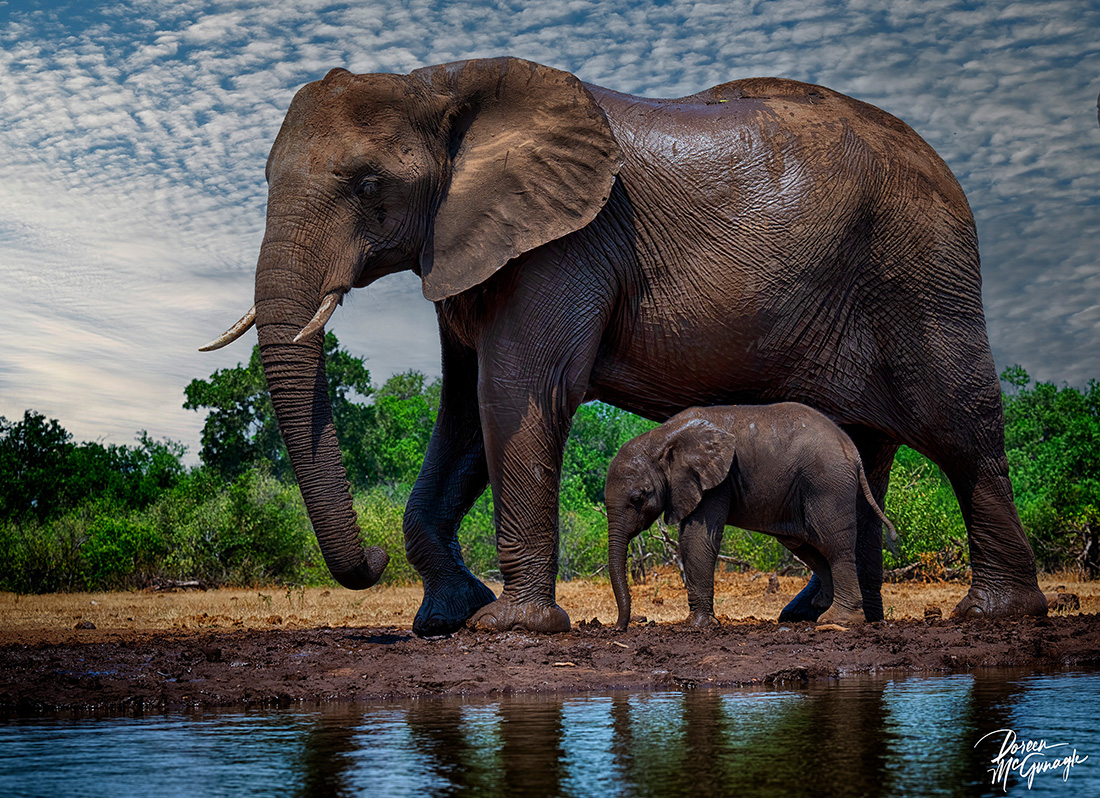 u2256-McGunagle_Doreen_Enduring-Bonds_photography-digitally-enhanced_30x45x1_c2024_4500