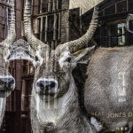 05_Karen-Ghostlaw_Horns-of-Plenty
