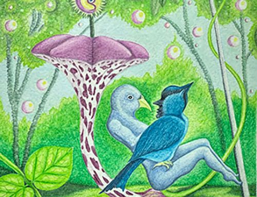 CALL FOR ART: When Words are Not Enough