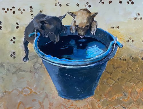 CALL FOR ART: Contrast