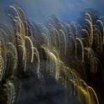 13_NASHMITH-Grassland-2025-NYC-Abstract