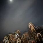 18_NASHMITH-Fairy-Stools-2026-NYC-Abstract