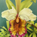 50.-Cattleya-Dowiana-Oil-on-Canvas-72x60-2025