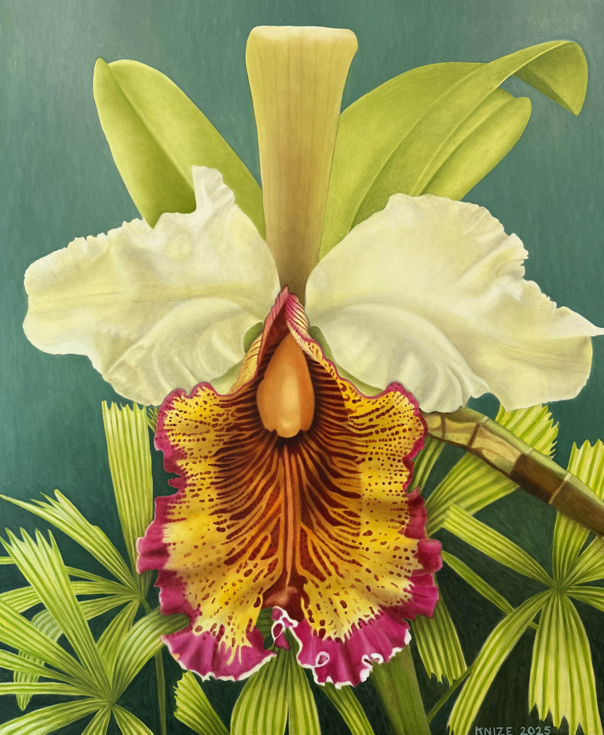 50.-Cattleya-Dowiana-Oil-on-Canvas-72x60-2025