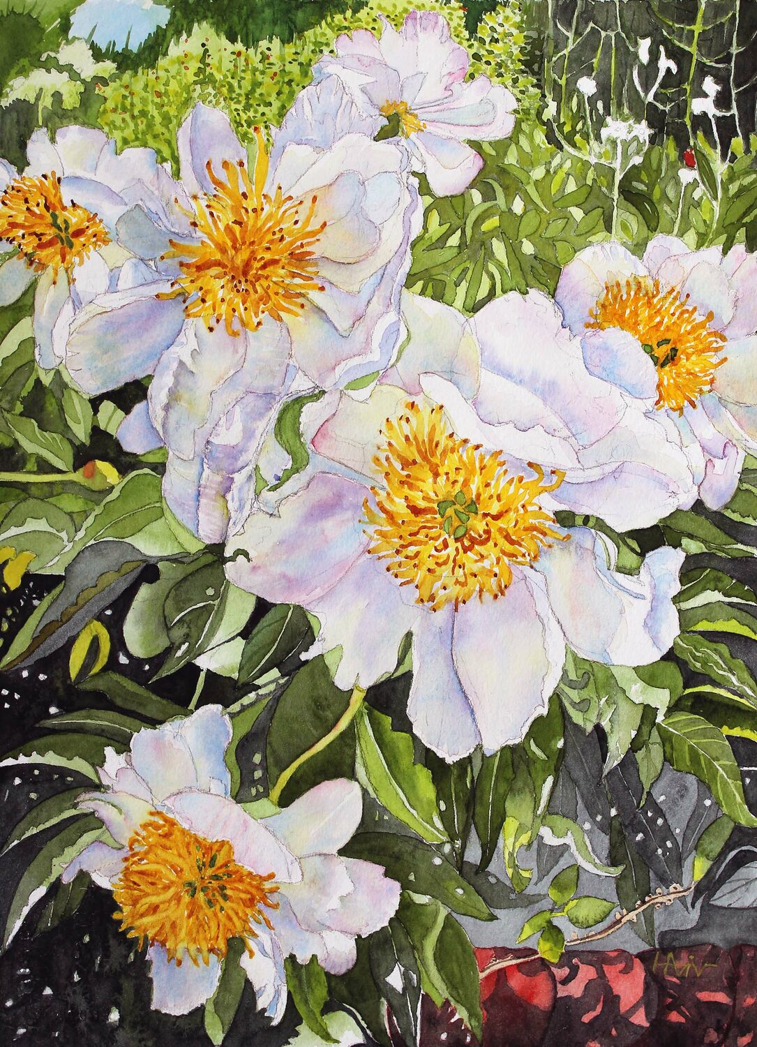 Hana Aviv (NJ) <br><em>Peonies in White</em>