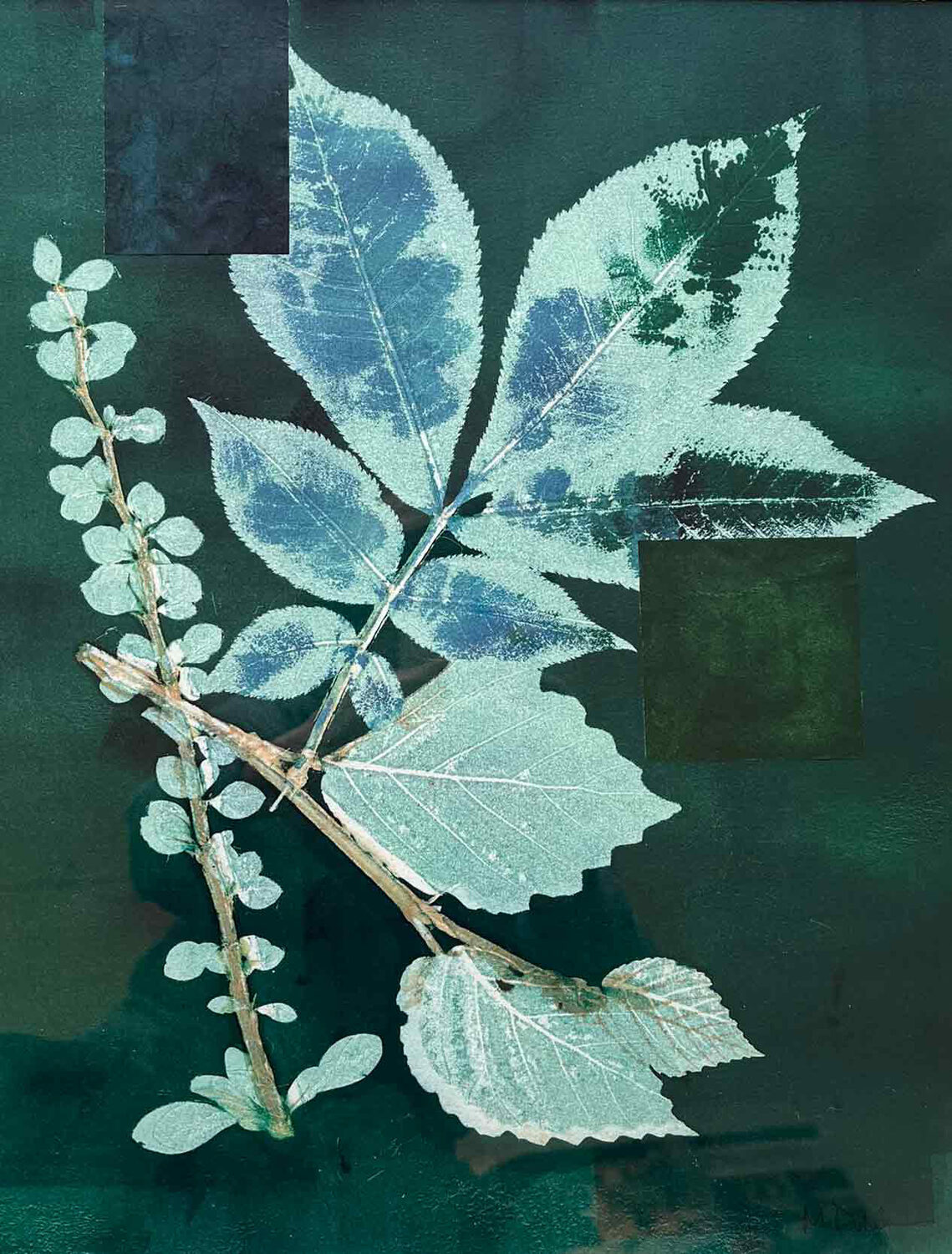 Marilyn Dale (IL)<br><em>Summer Leaves</em>
