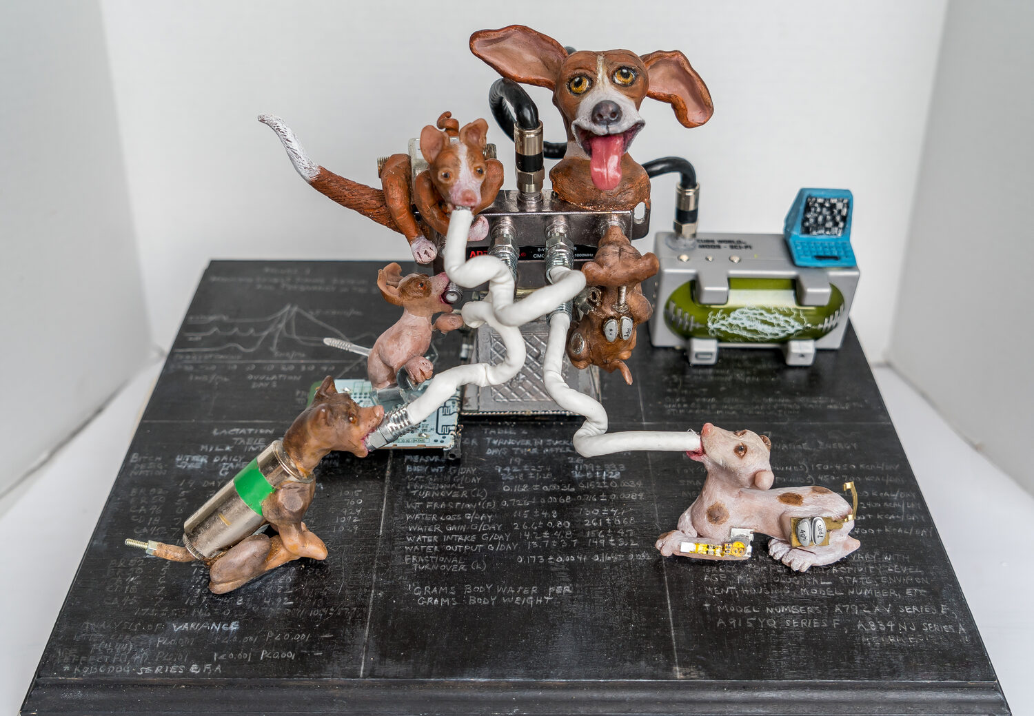 Debra Friedkin (NY)<br><em>21st Century Bitch</em>