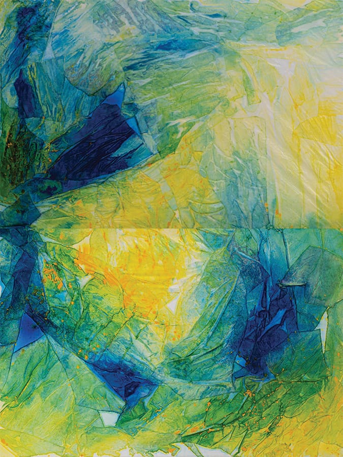 Krutick_Jill_MahiMahi12_AcrylicCollageOnCanvas_48x36x222_10000