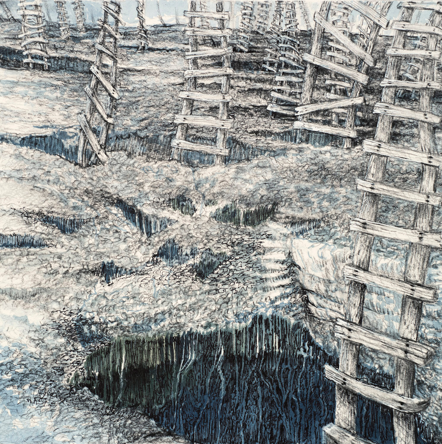 Linda Williams McCune (SC)<br><em>Covid 19 Series Study 3</em>