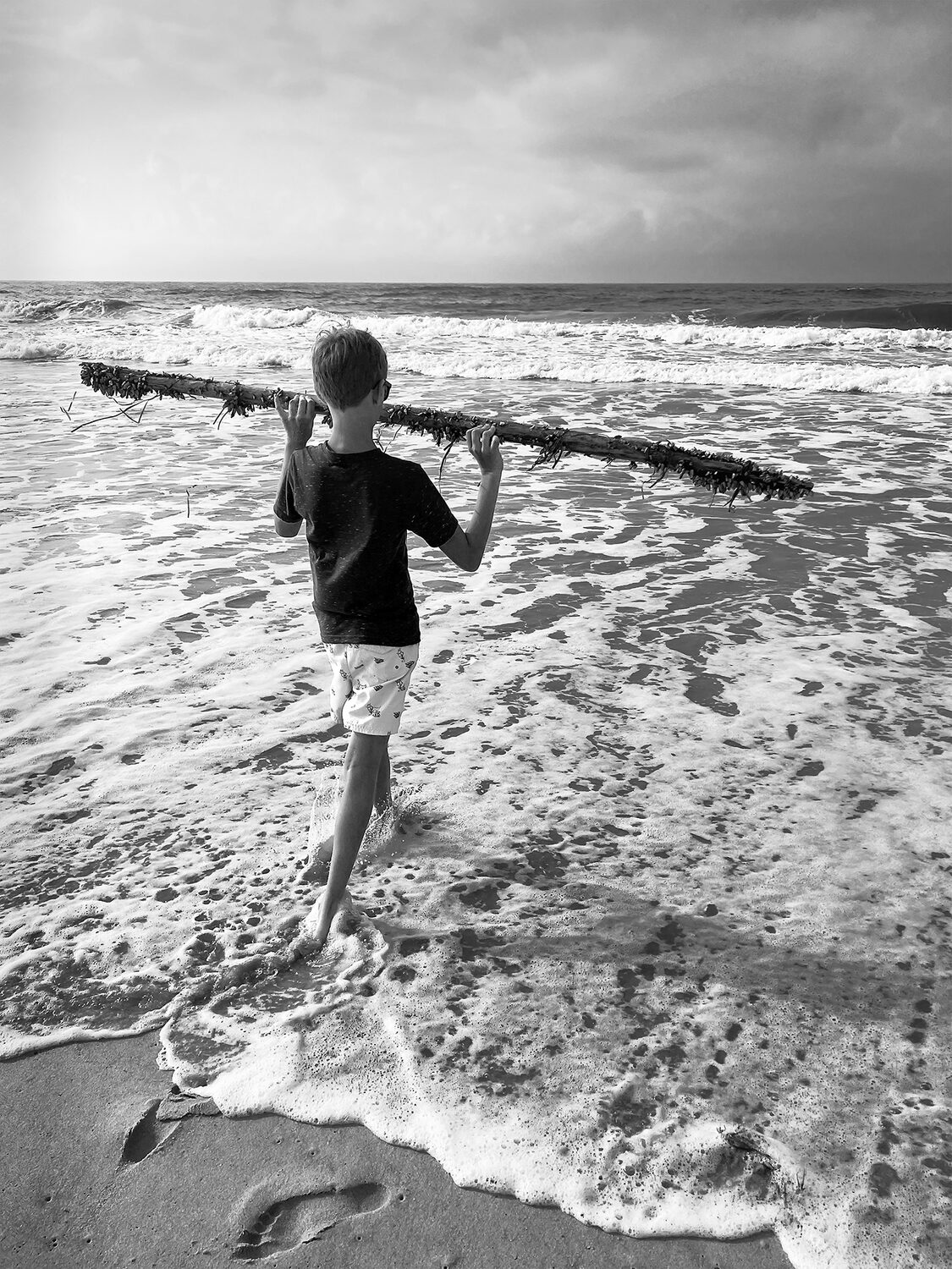 Barbara O'Shea (CT)<br><em>Back to the Sea</em>