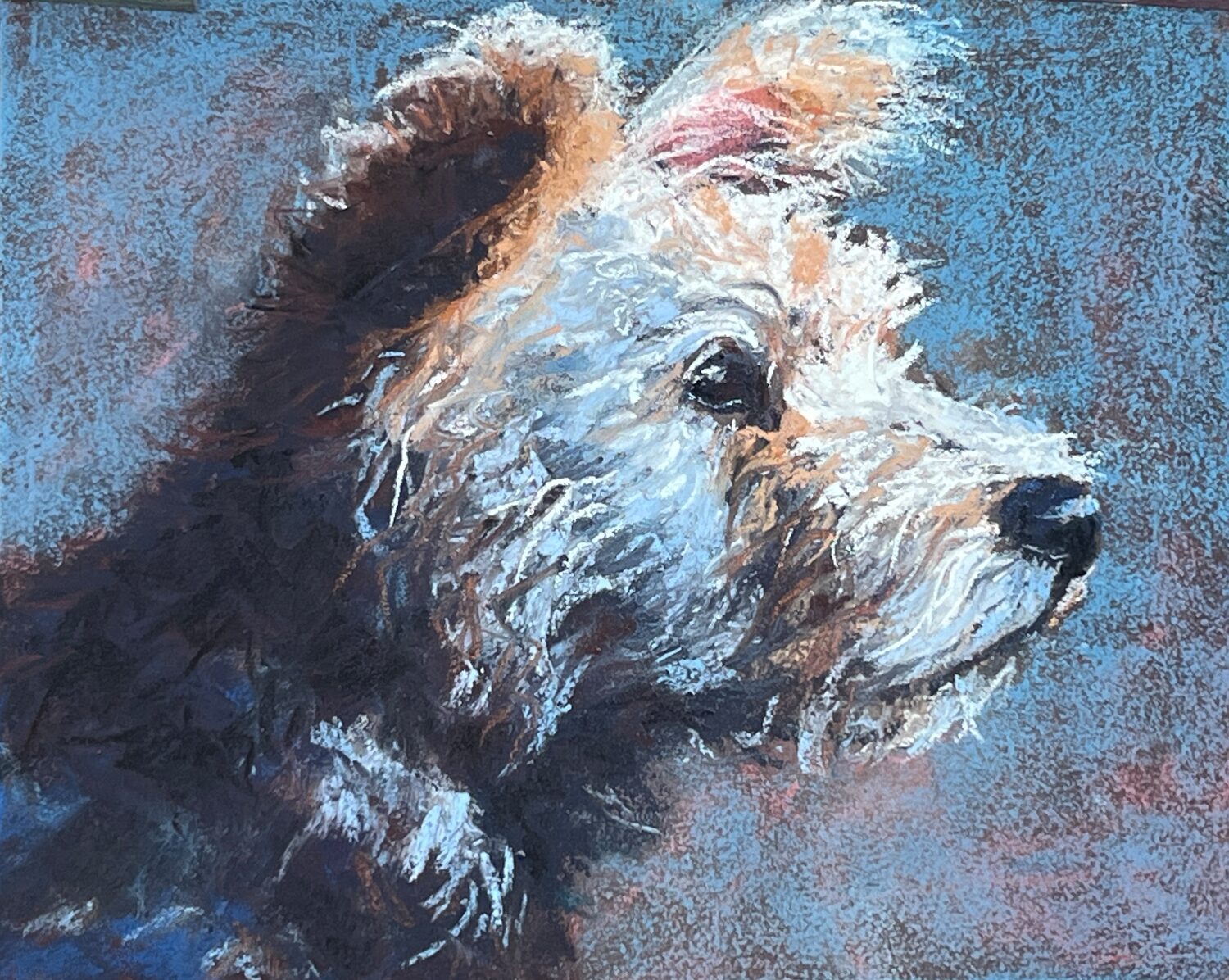 Beverly Carlson Bradshaw (AZ) <br><em>What Did You Say</em>