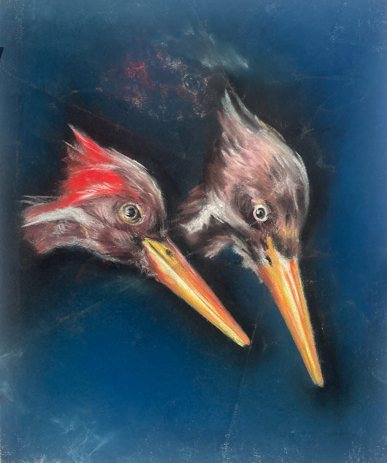 Marina Duvidzon (NY) <br><em>The Older Couple (The Extinct Birds)</em>